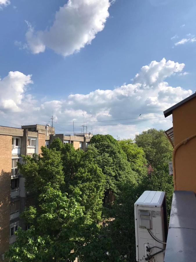נובי סאד Apartman Kej מראה חיצוני תמונה